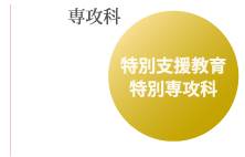 特別支援教育特別専攻科