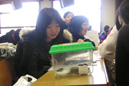 授業改革2写真：コオロギから広がる科学の世界