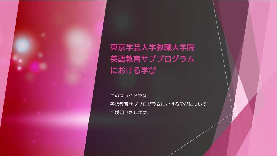 教職13_英語教育サブプログラム