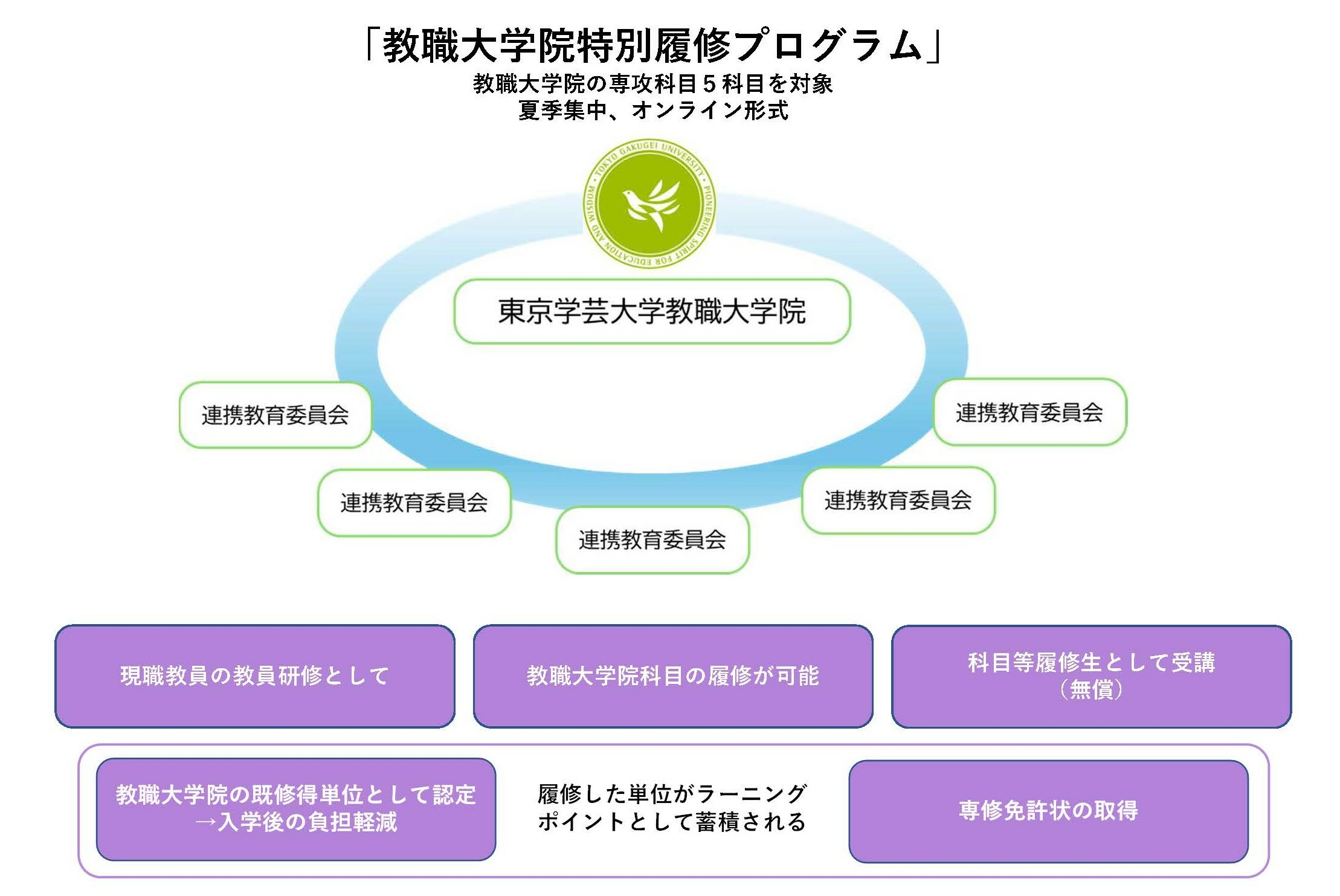 特別履修プログラム図.jpg