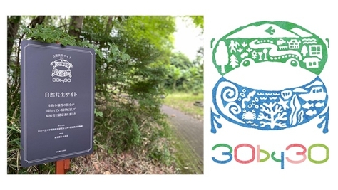 本学キャンパス内の「環境教育研究センター附属教材植物園」が 地域生物多様性増進法に基づく「自然共生サイト」の認定を取得しました！