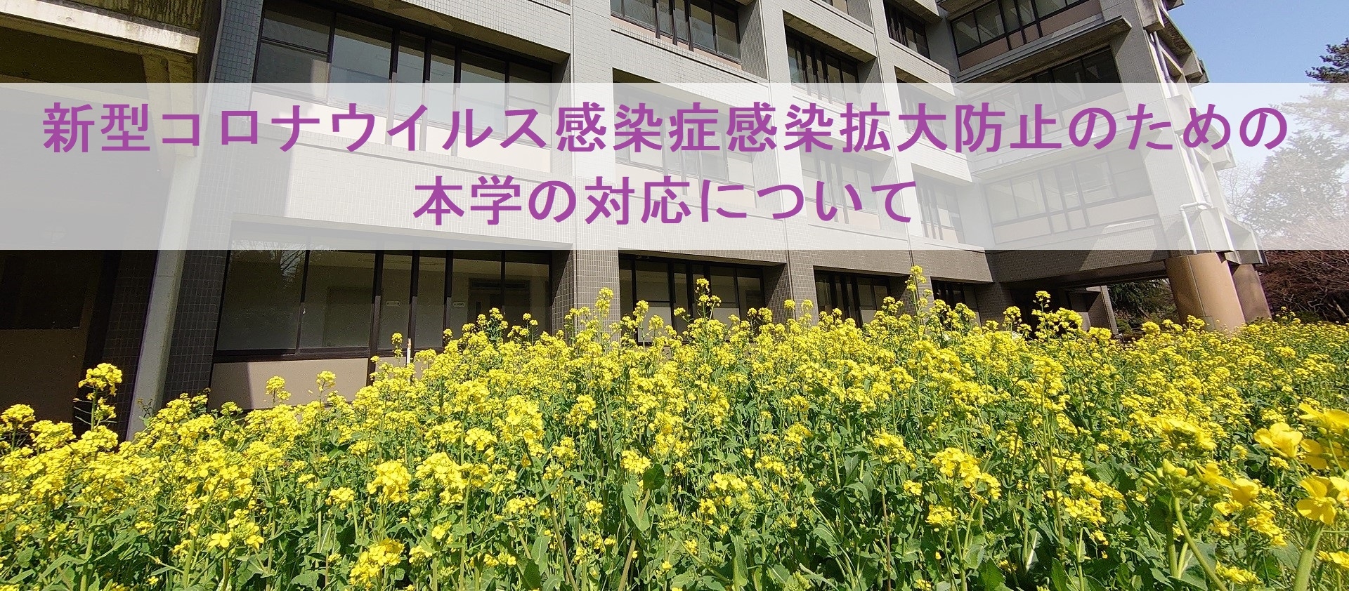 国立大学法人 東京学芸大学 国立大学法人 東京学芸大学