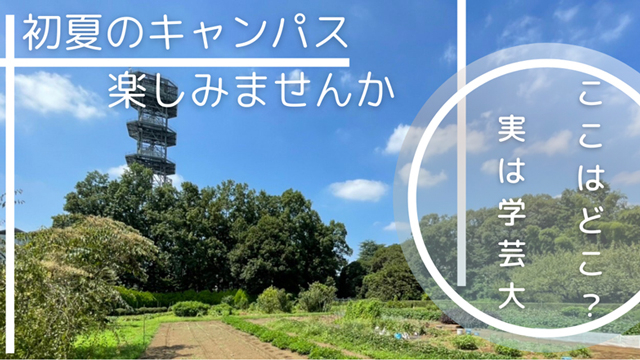 【東京学芸大学オープンセミナー】学芸大キャンパスの『七十二候』を作ろう！（2022年6月4日）の開催について