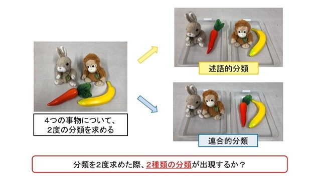 特別支援教育高度化プログラムの内城あまねさんが、日本コミュニケーション障害学会学会発表奨励賞を受賞しました