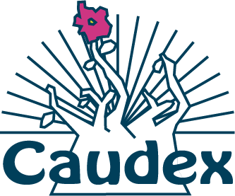 caudex